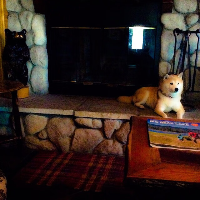 双城记，利拉德魔法启示录与魔术队铁蹄远征