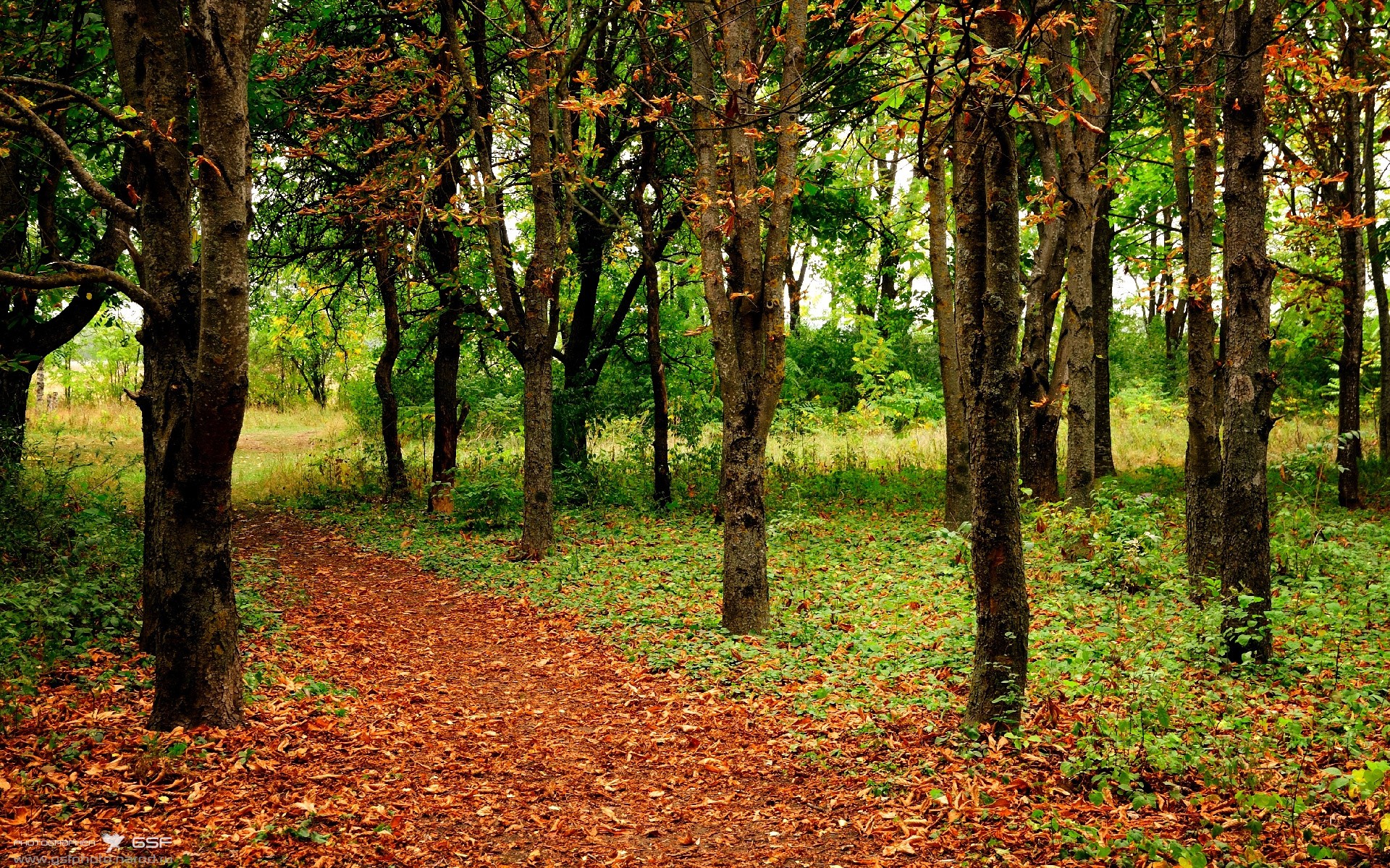 时空错乱？雷霆淘汰北京队？当NBA与CBA的平行宇宙交叠