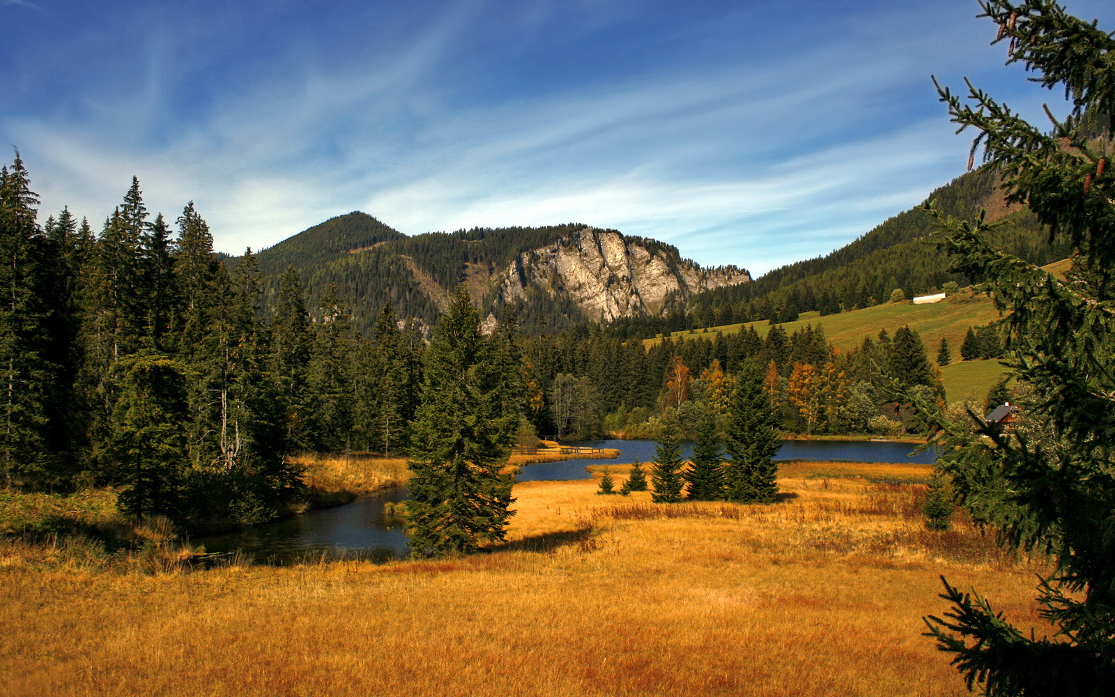龙纹篮球,76人与深圳队跨越时空的抢七幻战