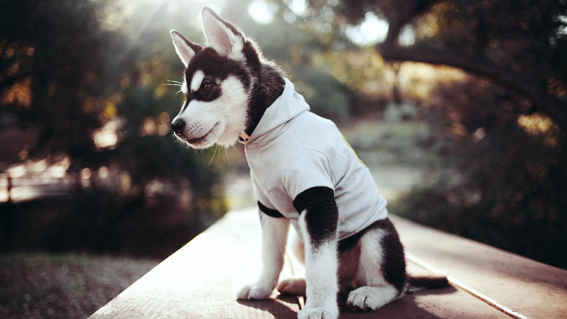 孤胆协奏曲,乔治激活全队心跳,浙江爆冷掀翻天山堡垒