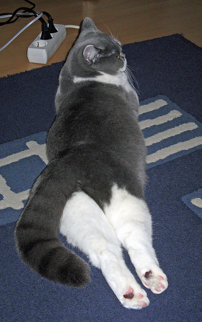 独舞于龙虎山,爱德华兹50分凿穿广厦铁壁,黄蜂客场掀起风暴