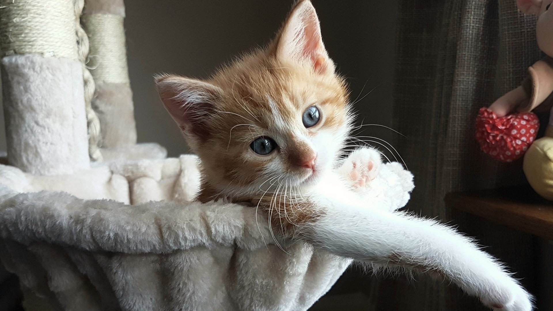 沙海与潘帕斯的交响