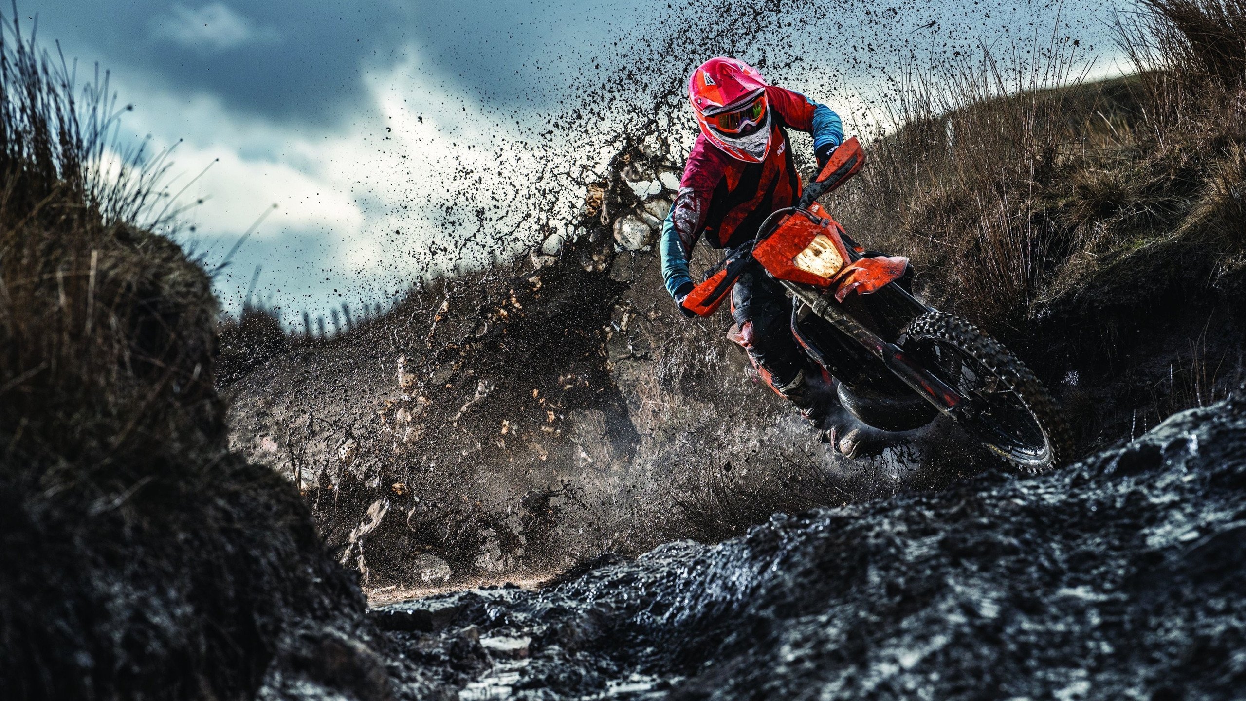 跨越时空的体育热浪，从美加墨世界杯焦点战到爵士争冠之路