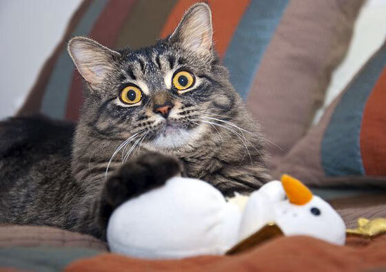 破壁之战，重剑无锋与利刃出鞘