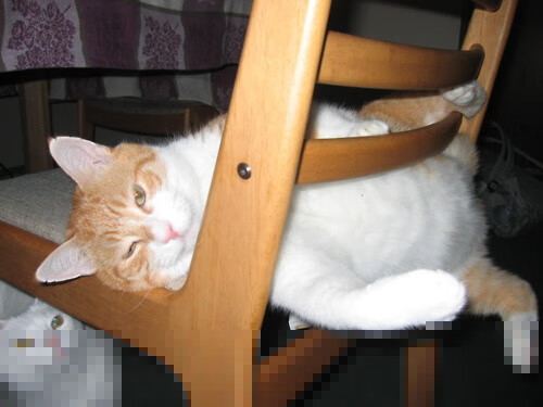 冷雨夜的雅典回响，当AC米兰压哨击败英格兰，佩德里已在另一个赛场证明自己