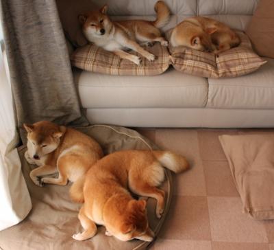 中国战术铁幕下的逆袭，特奥的宏大舞台定律