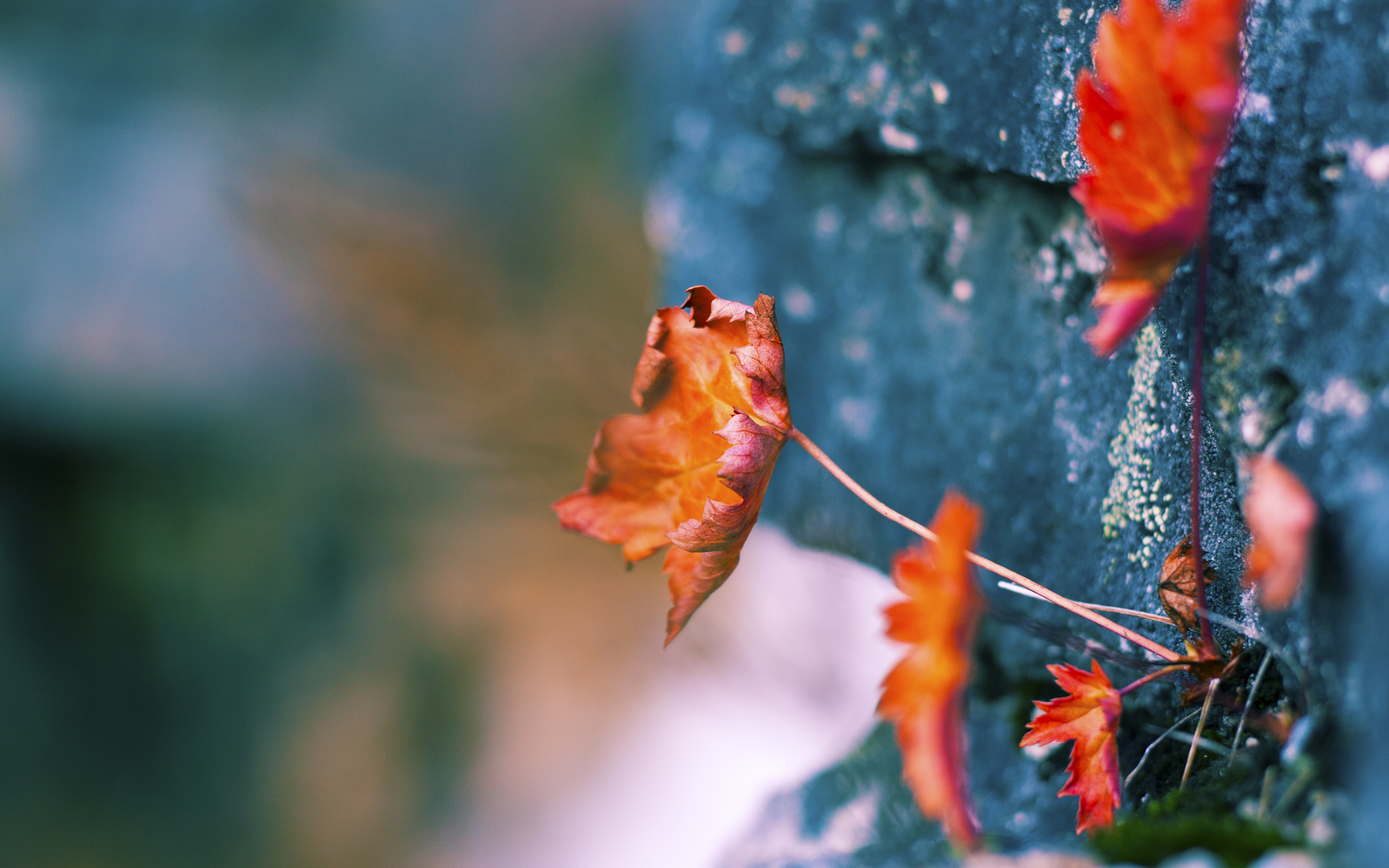 隔空重创,莱比锡欧冠告捷如何搅动英超争冠天平