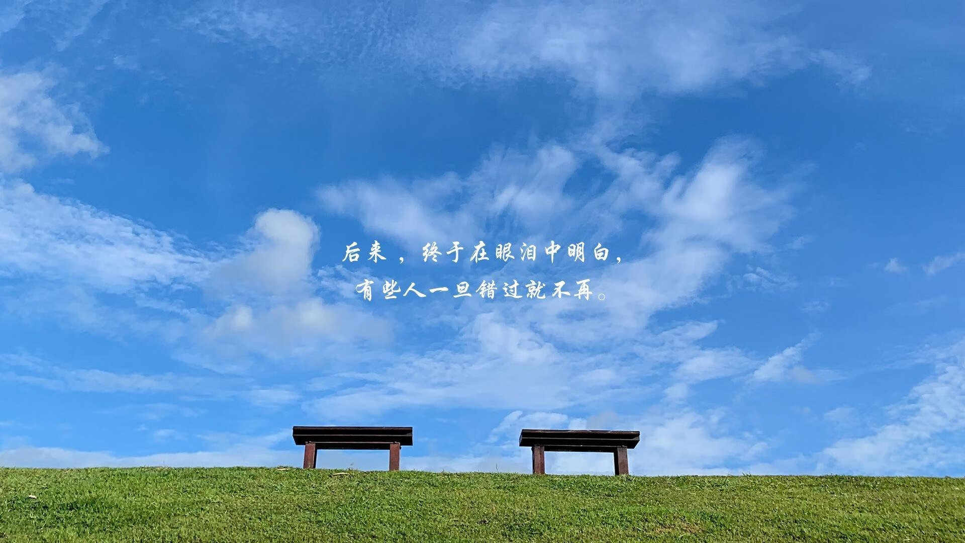 开云体育登录-铁幕之下，暗刃无声，当萨卡成为智利队唯一的非对称武器