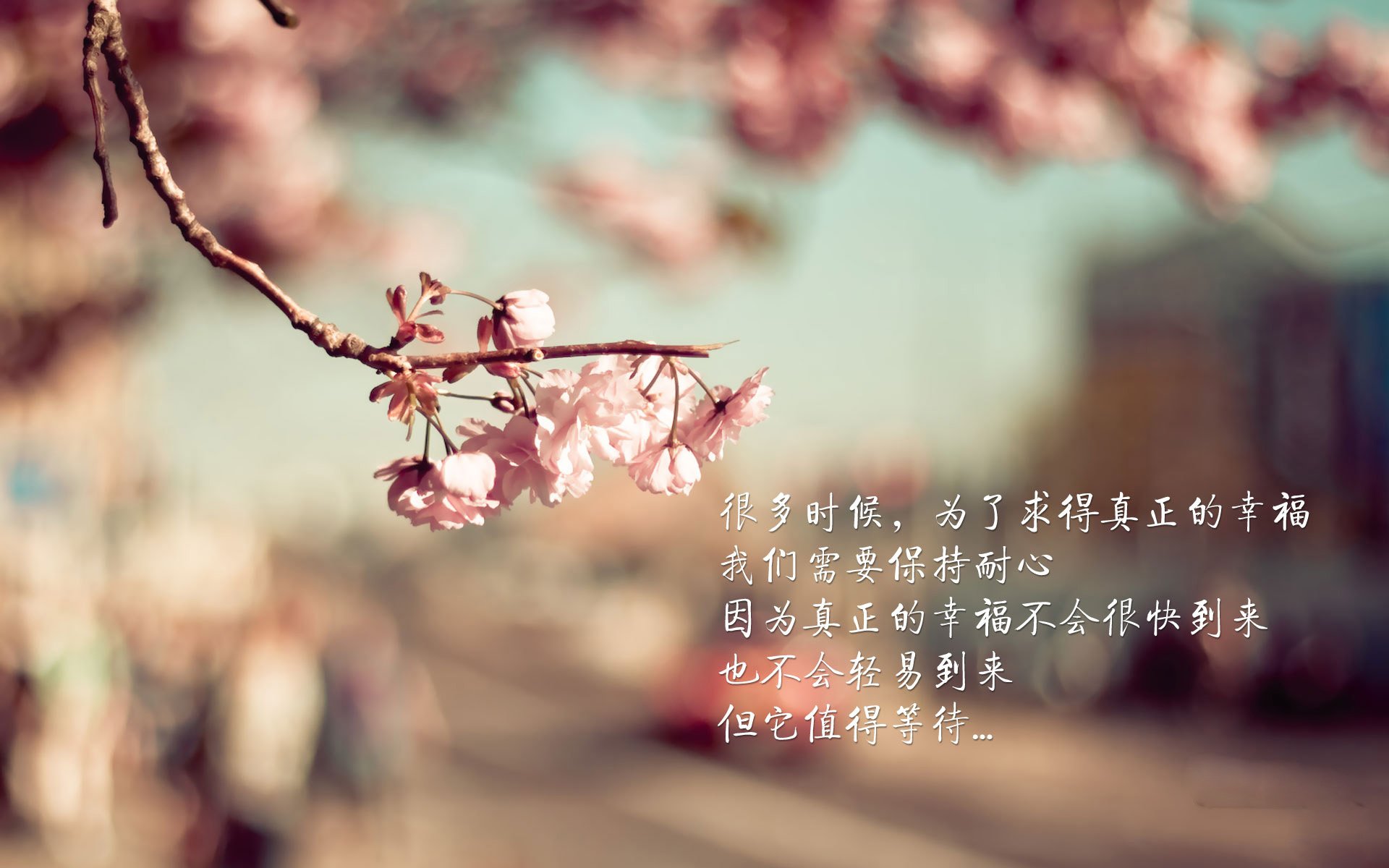 王者加冕的永恒之战，姆巴佩引领进攻狂潮，瑞士刀锋绝杀郁金香