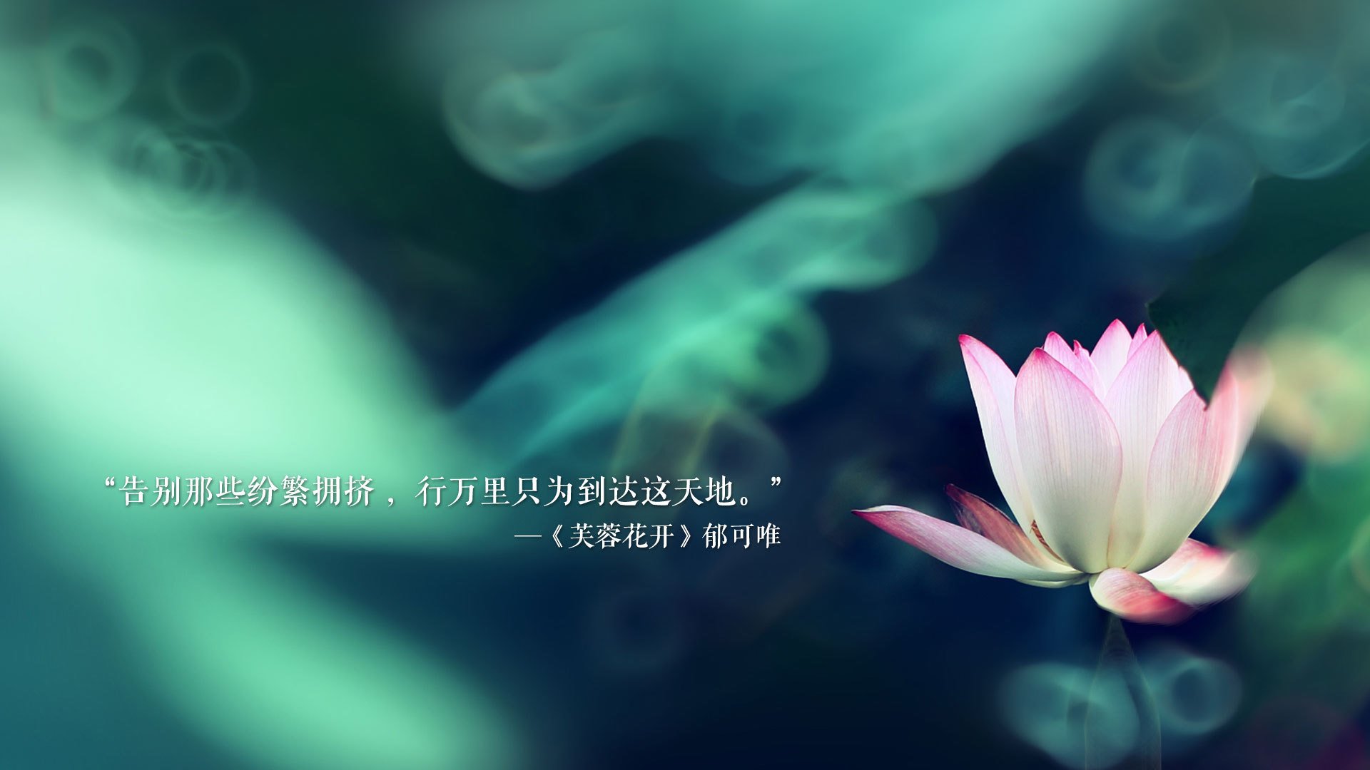 南美之光破晓，秘鲁的冷门，萨卡的独角戏，2026世界杯C组唯一性解码